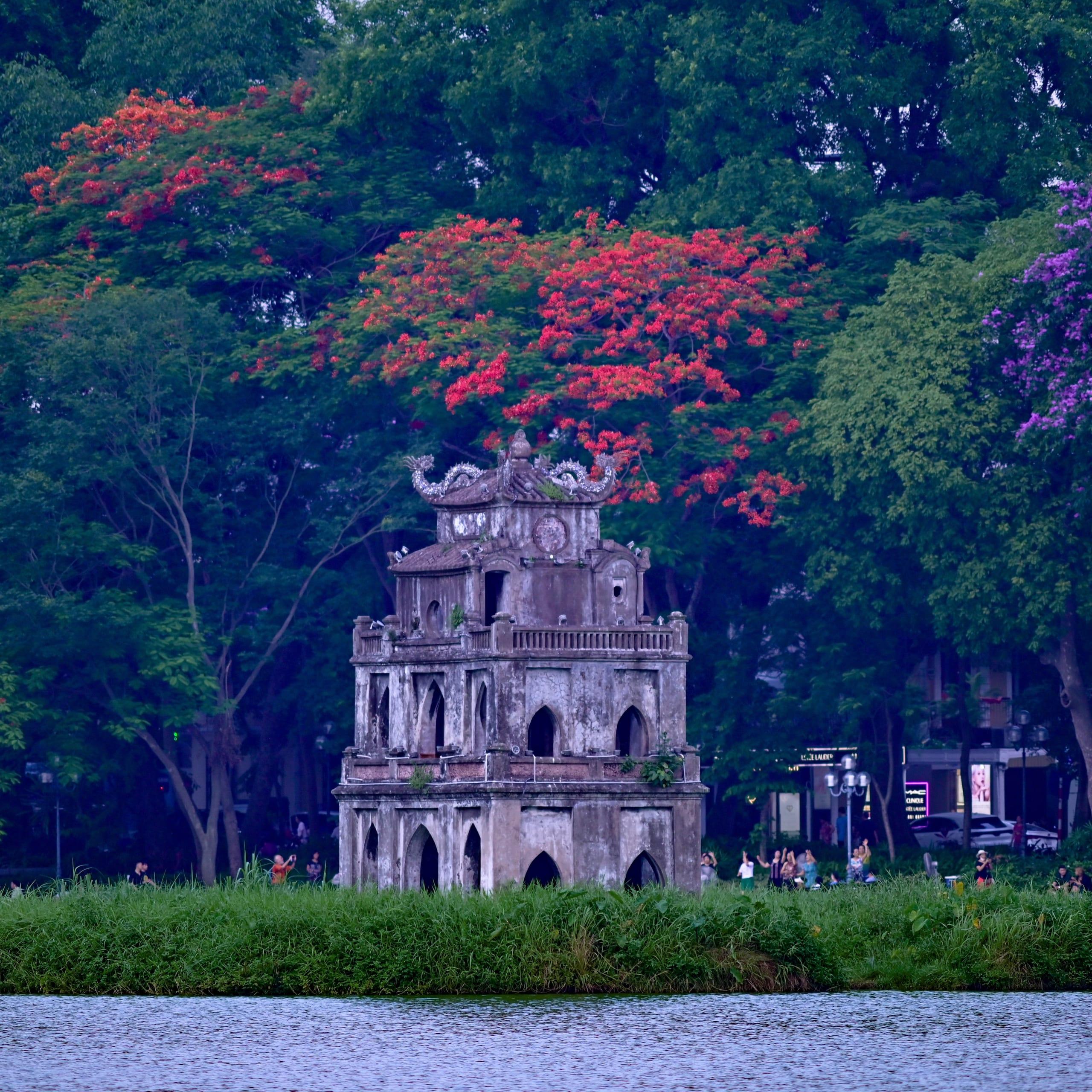Un’antica torre di pietra su un isolotto del lago, incorniciata da alberi dai fiori rossi