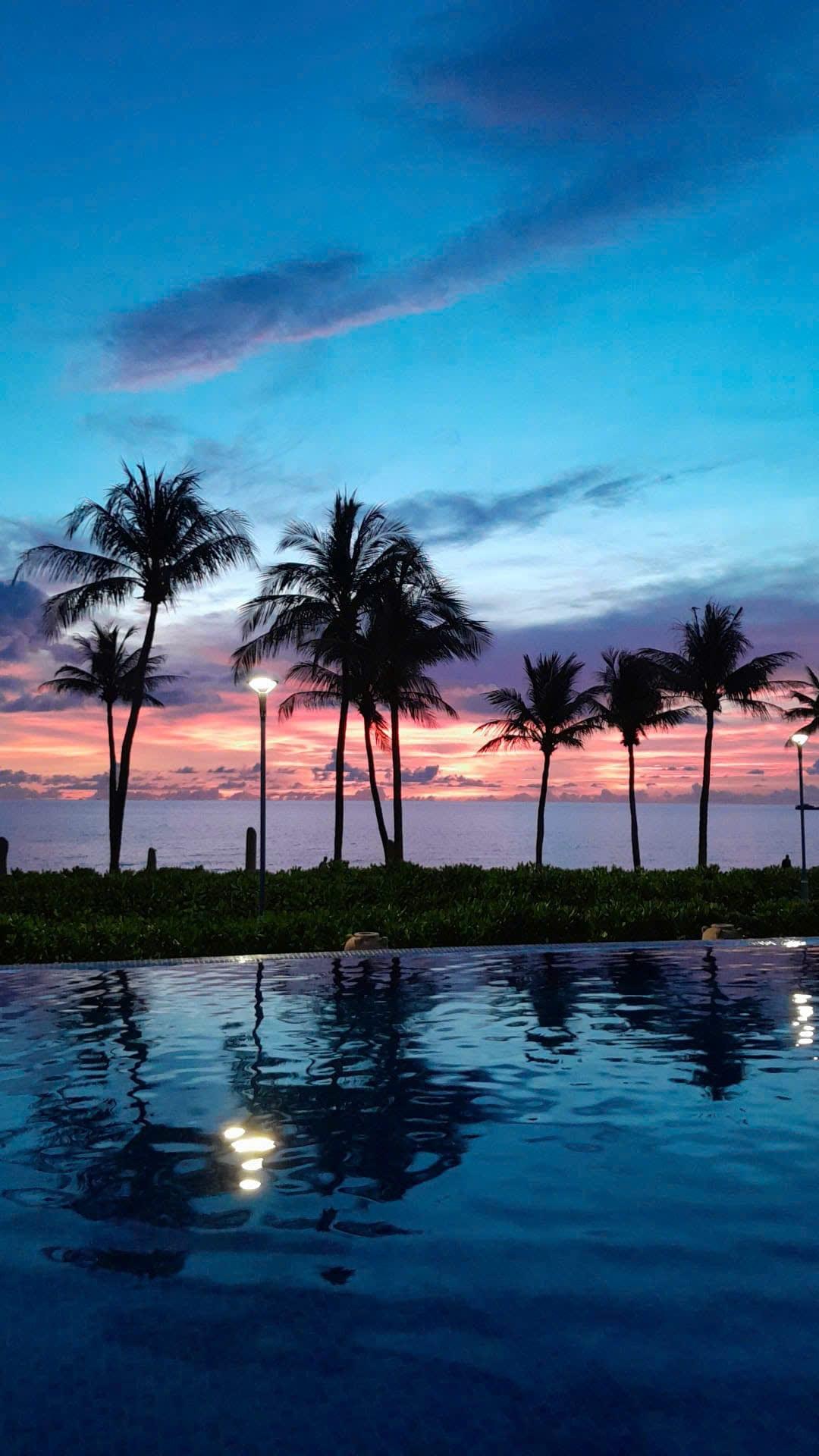 Sagome di palme contro un tramonto rosa, accanto a una piscina in riva al mare