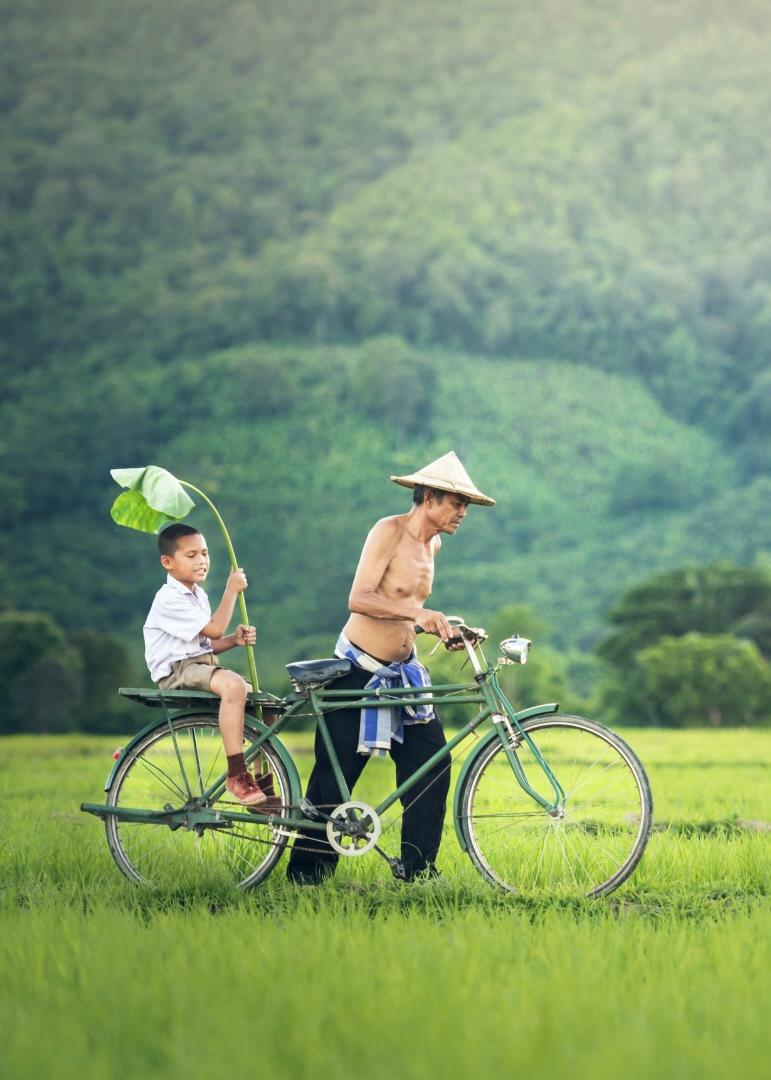 Padre e figlio in bicicletta tra le risaie della campagna cambogiana