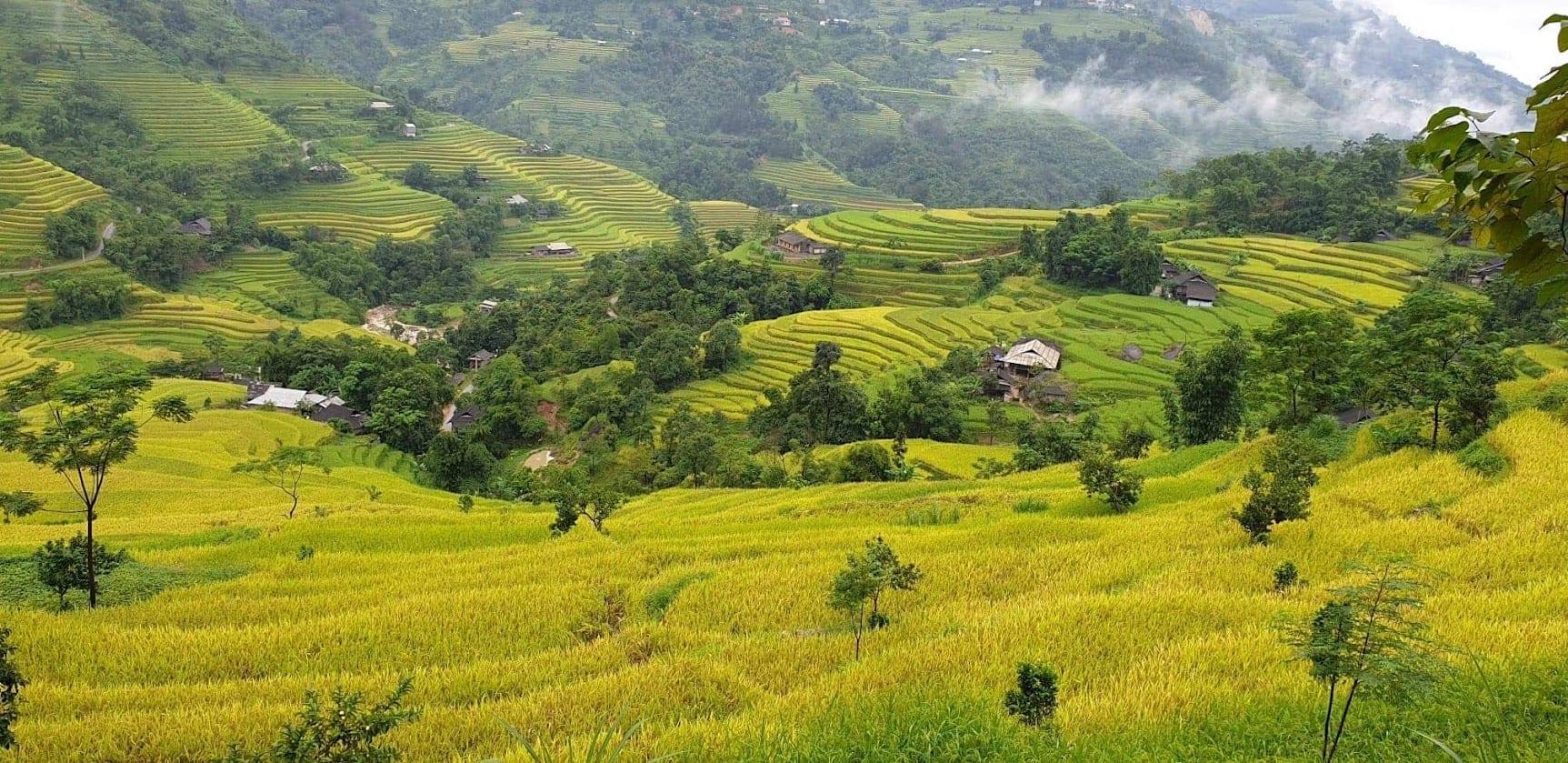 Risaie terrazzate tra le montagne del Vietnam settentrionale