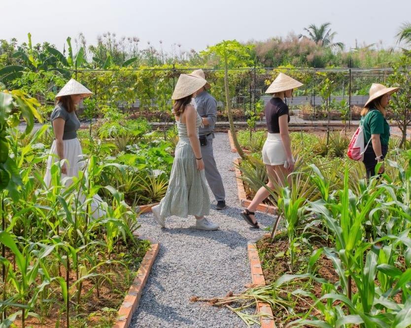Viaggiatori con cappelli conici a passeggio in un orto di erbe aromatiche