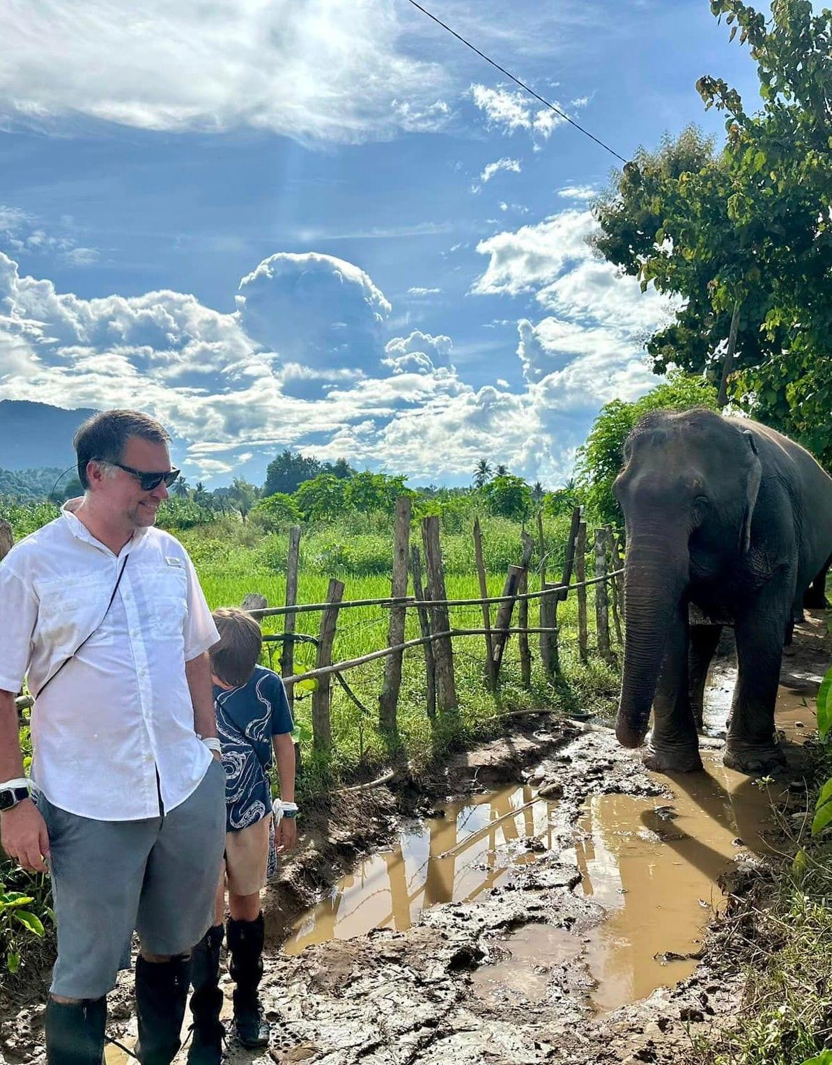 Un uomo e un bambino osservano un elefante accanto a una staccionata di bambù, in campagna